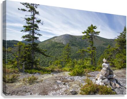 Bicknell Ridge Trail - White Mountains New Hampshire  Impression sur toile