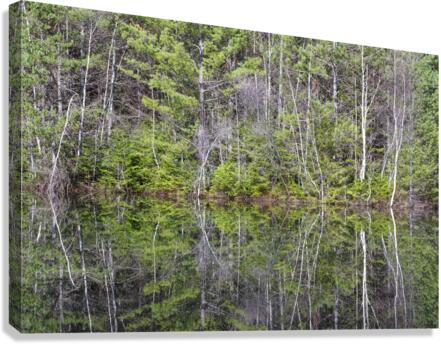 Kancamagus Highway - White Mountains New Hampshire  Impression sur toile