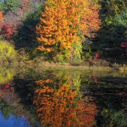 Clark Pond - Auburn New Hampshire