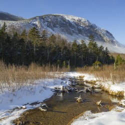 Pemi Trail - Franconia Notch New Hampshire