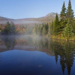 Wildlife Pond - Bethlehem New Hampshire