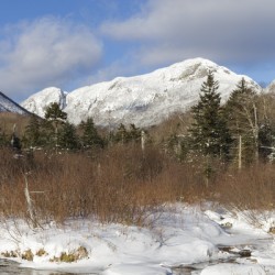 Pemi Trail - Franconia New Hampshire