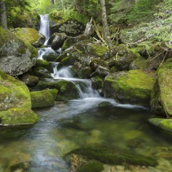 Cold Brook - Low and Burbanks Grant New Hampshire