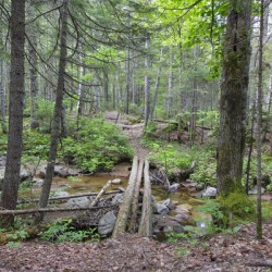 Nancy Pond Trail - Pemigewasset Wilderness New Hampshire 