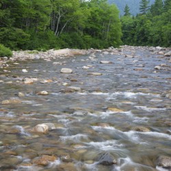Swift River - White Mountains New Hampshire