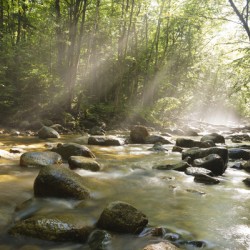 Cedar Brook - Pemigewasset Wilderness New Hampshire