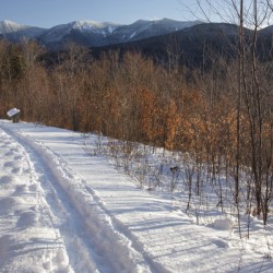 Forest Discovery Trail - White Mountains New Hampshire