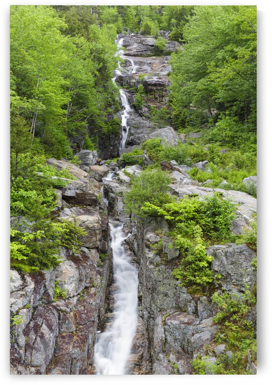 Silver Cascade - Crawford Notch New Hampshire by ScenicNH Photography