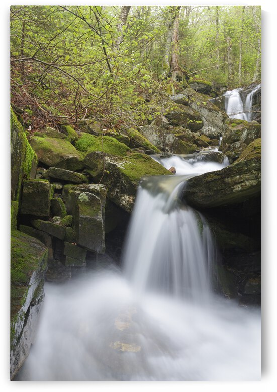 Stark Falls Brook - Kinsman Notch New Hampshire  by ScenicNH Photography