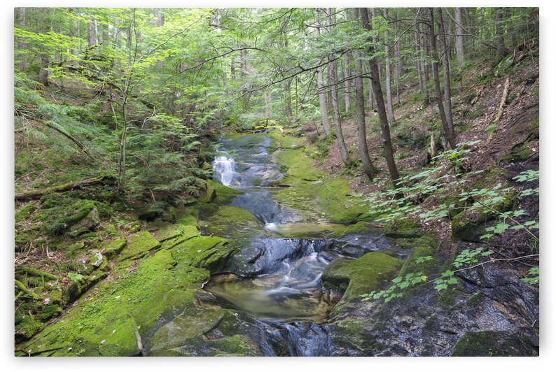 Mossy Glen - Randolph New Hampshire by ScenicNH Photography