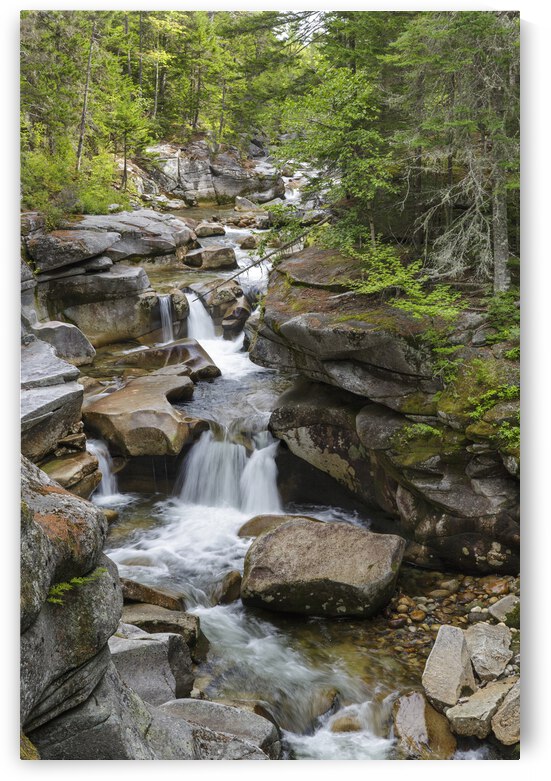 Middle Ammonoosuc Falls - Crawfords Purchase New Hampshire  by ScenicNH Photography