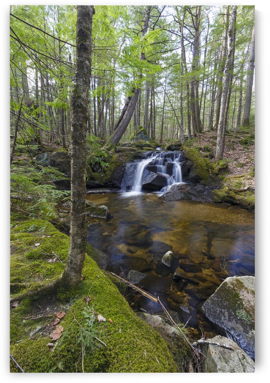 Crooked Brook - North Woodstock New Hampshire by ScenicNH Photography