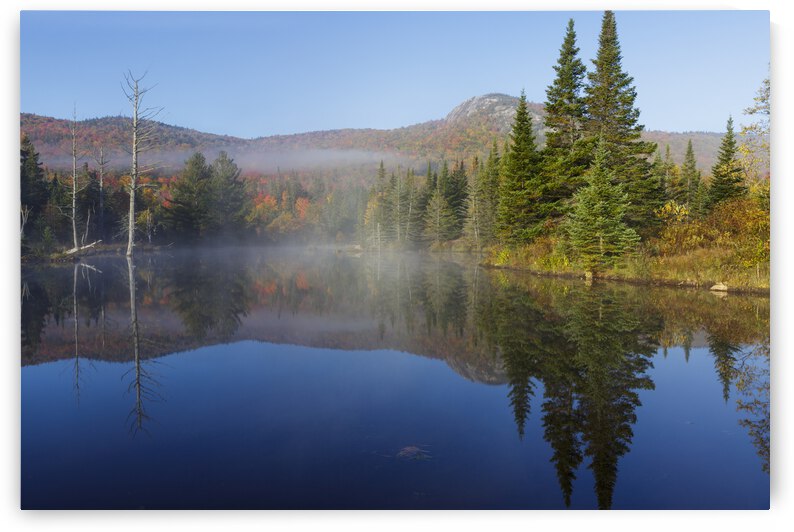 Wildlife Pond - Bethlehem New Hampshire by ScenicNH Photography