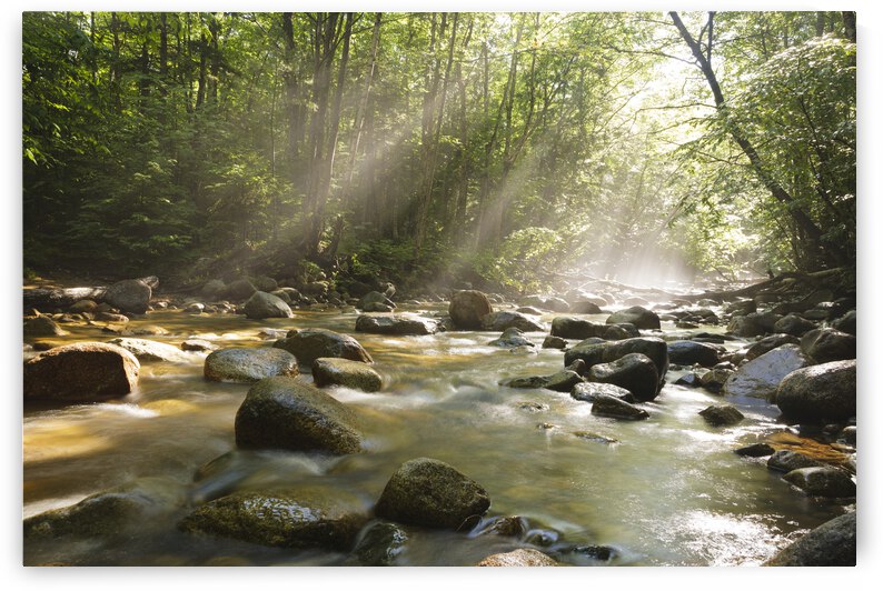 Cedar Brook - Pemigewasset Wilderness New Hampshire by ScenicNH Photography
