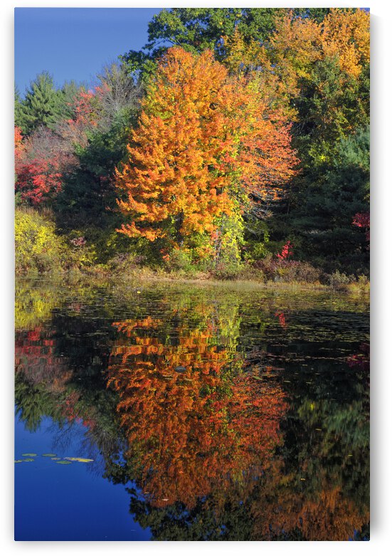 Clark Pond - Auburn New Hampshire by ScenicNH Photography
