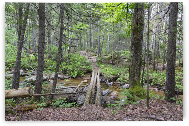 Nancy Pond Trail - Pemigewasset Wilderness New Hampshire  by ScenicNH Photography