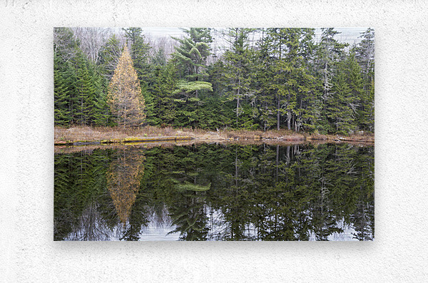 Black Pond - White Mountains New Hampshire  Metal print