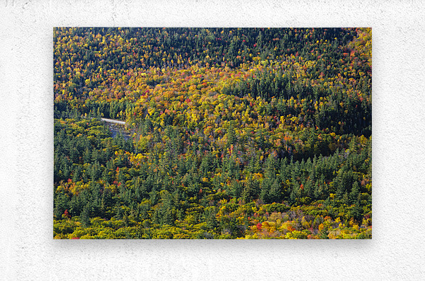 Boulder Loop Trail - White Mountains New Hampshire  Metal print