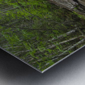 Crystal Brook - Pemigewasset Wilderness New Hampshire Metal print