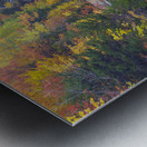 Silver Cascade - Crawford Notch New Hampshire  Metal print