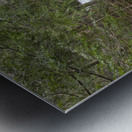 Liberty Gorge - Franconia Notch New Hampshire Impression metal