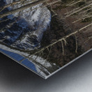 Pemi Trail - Franconia Notch White Mountains Metal print