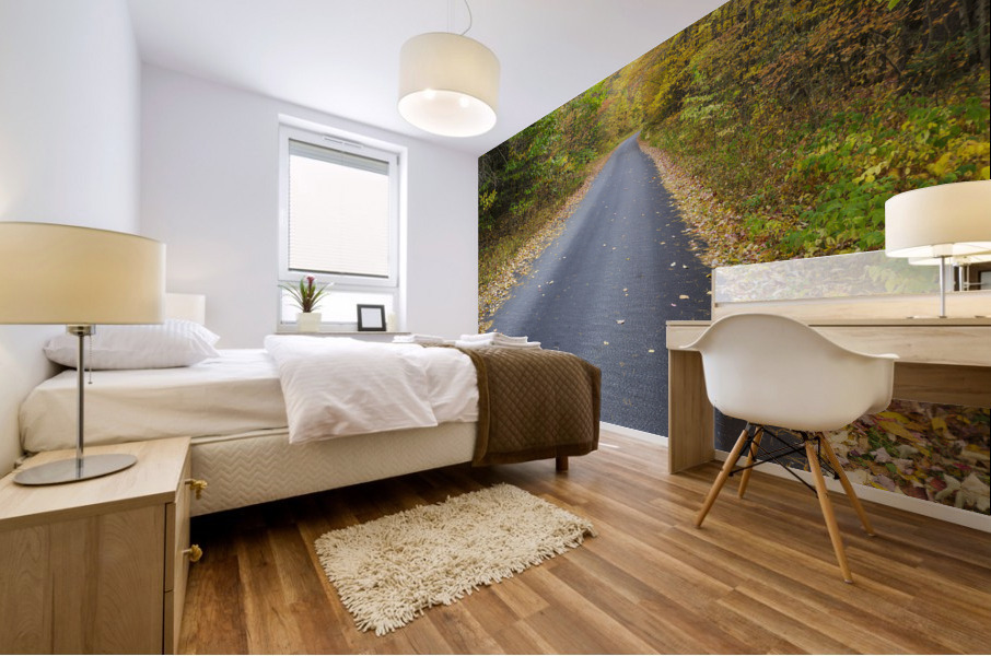 Tunnel Brook Road - Easton New Hampshire Mural print