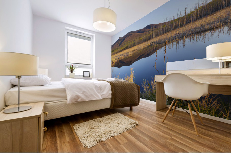 Pondicherry Wildlife Refuge - Jefferson New Hampshire Mural print