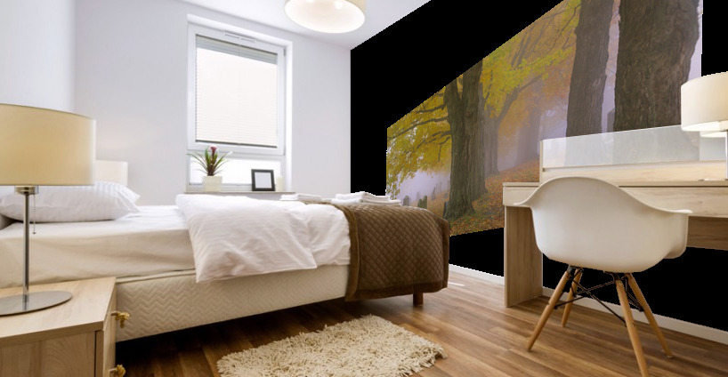 Greenlawn Cemetery - Mount Vernon New Hampshire Mural print