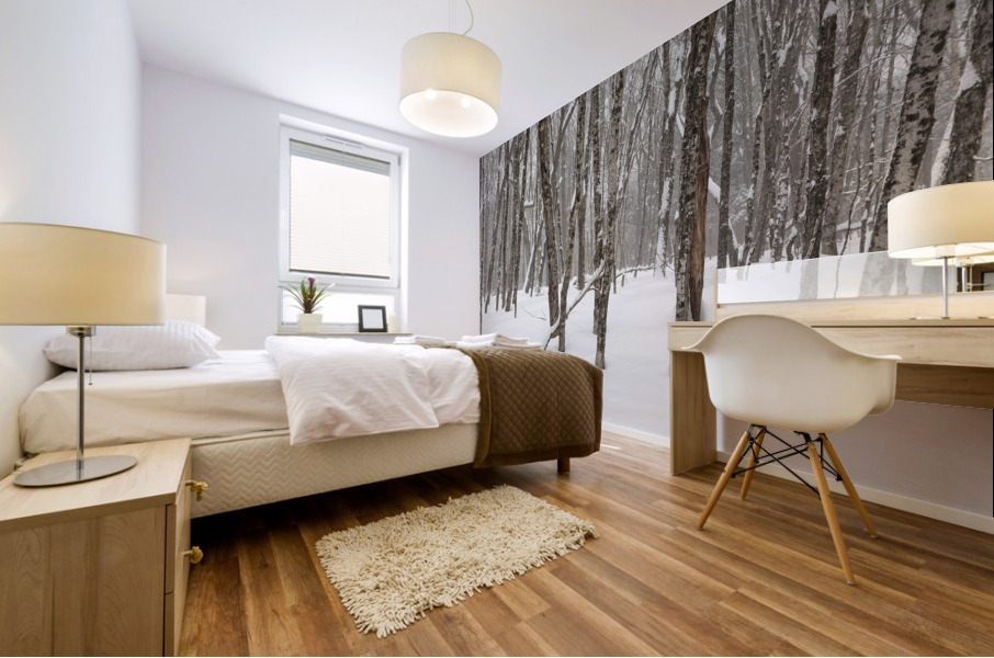 White Mountains New Hampshire - Hardwood forest Mural print