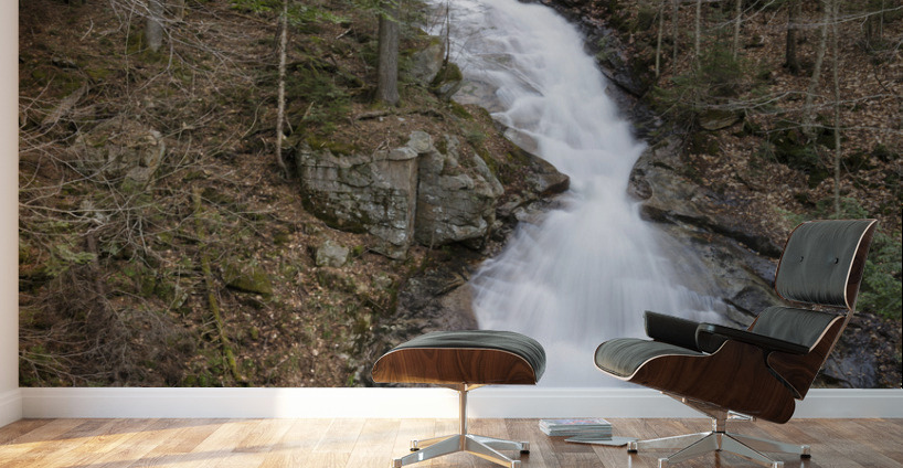 Liberty Gorge - Franconia Notch New Hampshire Wall Murals