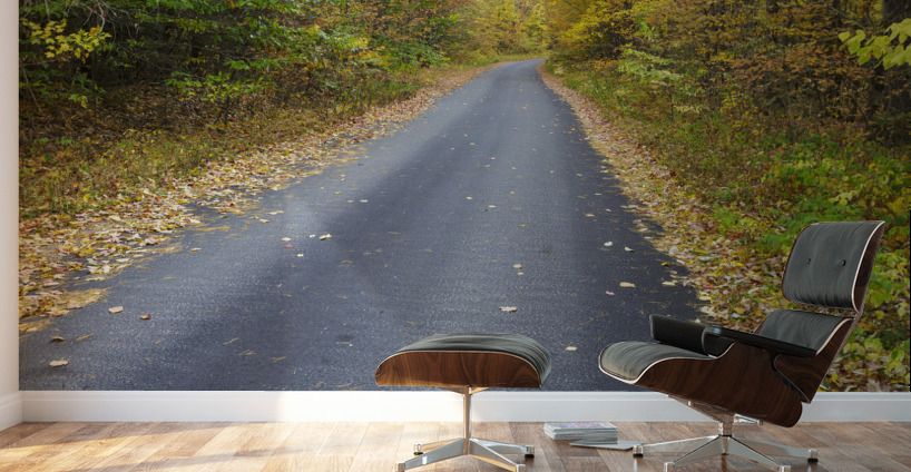 Tunnel Brook Road - Easton New Hampshire Wall Murals