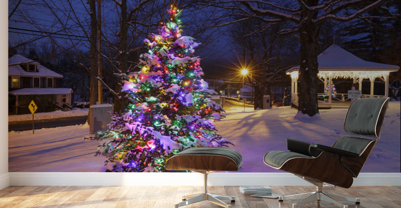 Village of North Woodstock New Hampshire Wall Murals