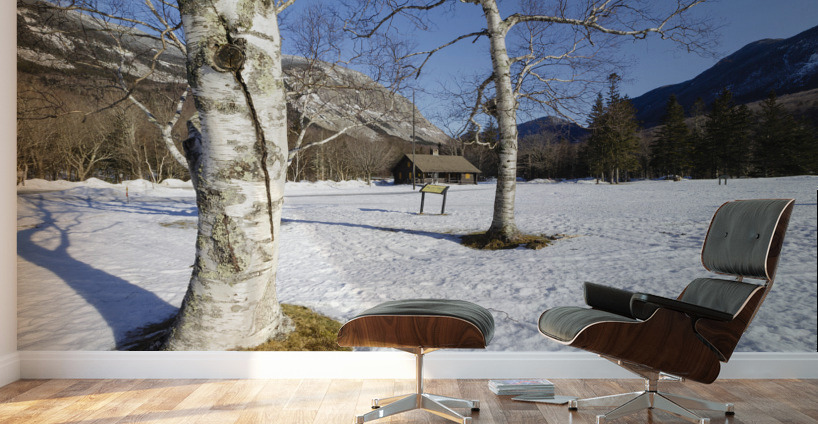 Lafayette Place - Franconia Notch New Hampshire Wall Murals