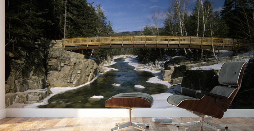 The Rocky Gorge Viewing Area Wall Murals