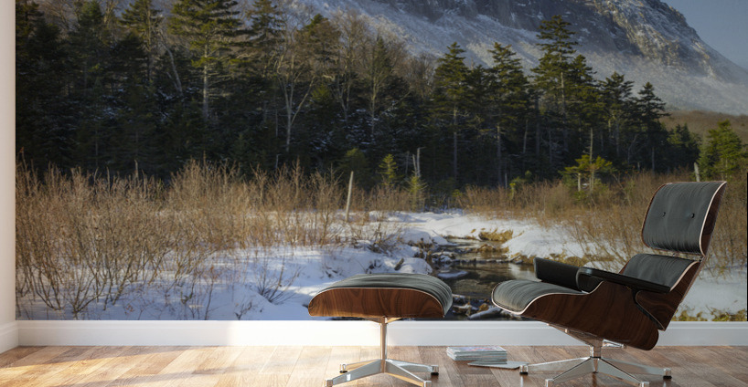 Pemi Trail - Franconia Notch New Hampshire Wall Murals