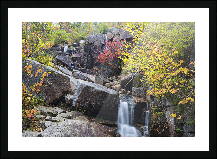 Zealand Falls - Bethlehem New Hampshire Picture Frame print