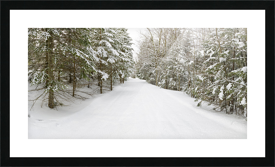Franconia Bike Path - Franconia Notch New Hampshire  Framed Print Print