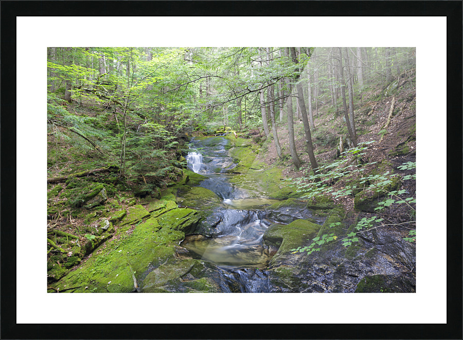 Mossy Glen - Randolph New Hampshire Impression et Cadre photo