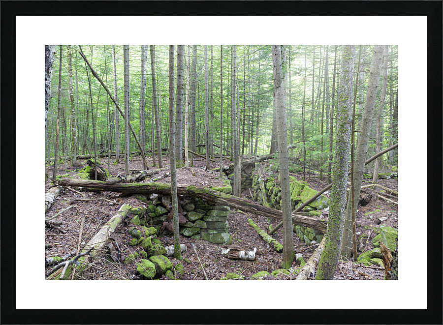 Breezy Point - Warren New Hampshire  Framed Print Print