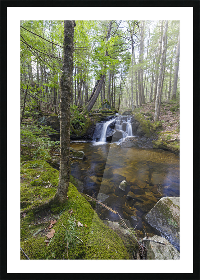 Crooked Brook - North Woodstock New Hampshire Picture Frame print
