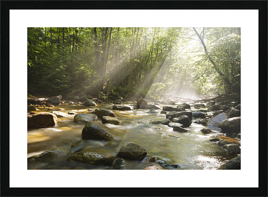 Cedar Brook - Pemigewasset Wilderness New Hampshire  Framed Print Print
