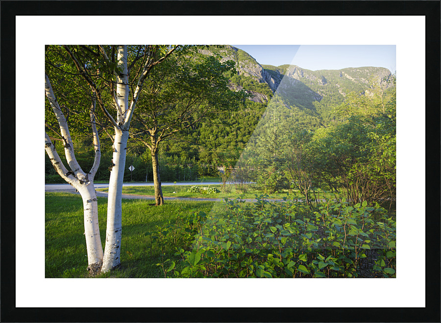 Eagle Cliff - Franconia Notch State Park New Hampshire Frame print