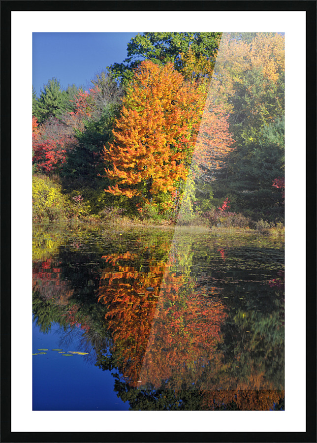 Clark Pond - Auburn New Hampshire  Framed Print Print