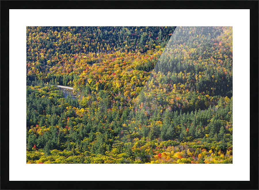 Boulder Loop Trail - White Mountains New Hampshire Frame print
