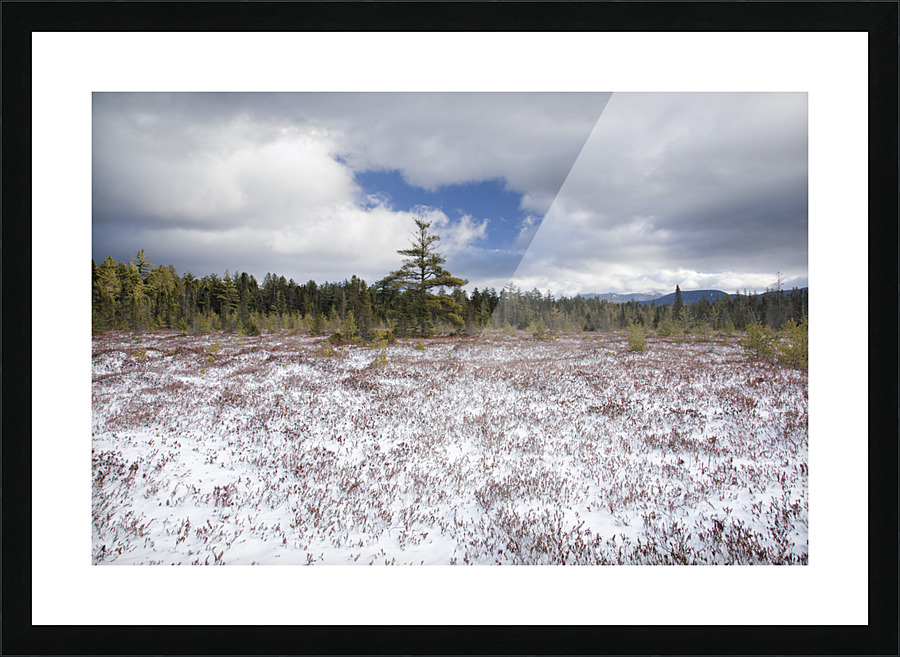 Church Pond - White Mountain National Forest  Picture Frame print
