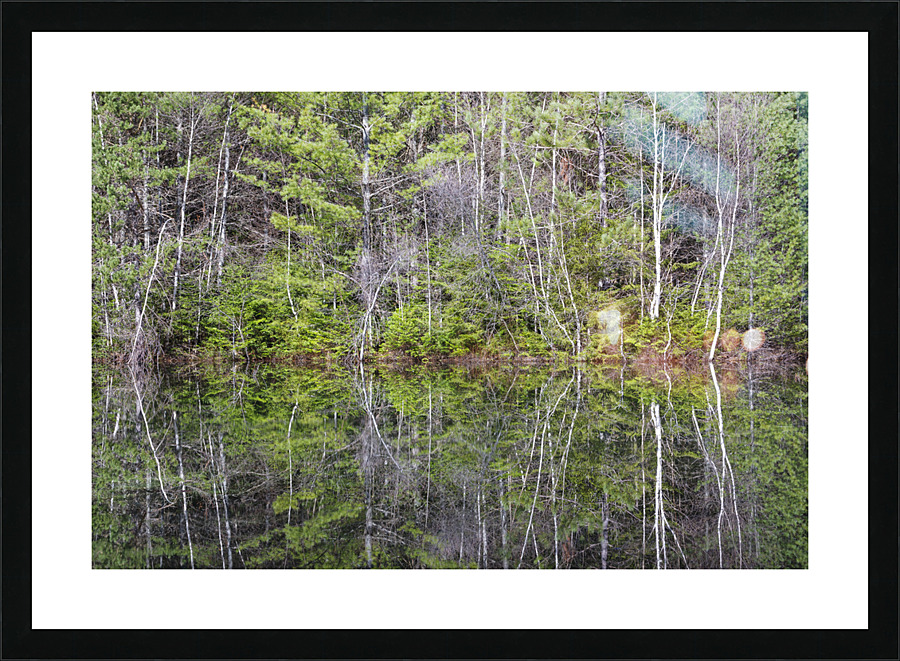 Kancamagus Highway - White Mountains New Hampshire  Framed Print Print