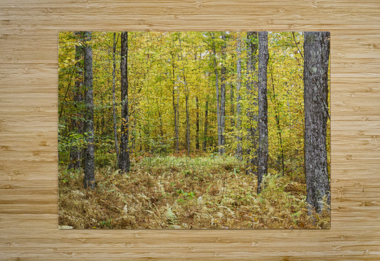 Gale River Road - Bethlehem New Hampshire ScenicNH Photography Puzzle printing