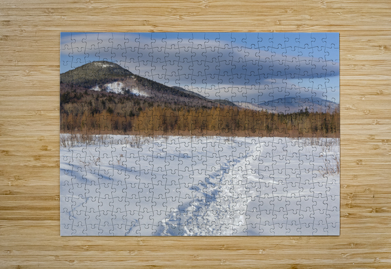 Downes - Oliverian Brook Ski Trail - White Mountains New Hampshire  HD Metal print with Floating Frame on Back