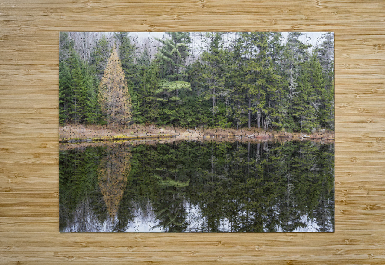 Black Pond - White Mountains New Hampshire  HD Metal print with Floating Frame on Back